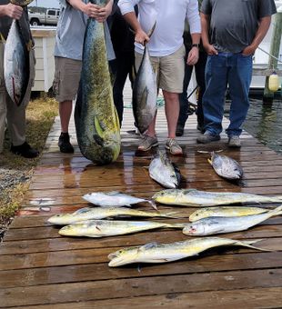 Angling action on a Wanchese fishing charter