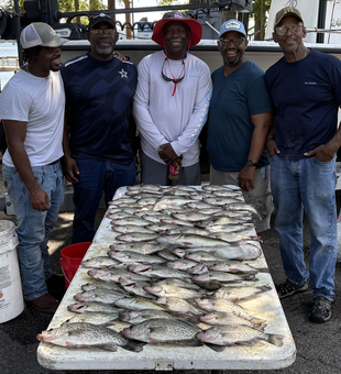 Clear skies and light tackle make for the best fishing day in Thomson!