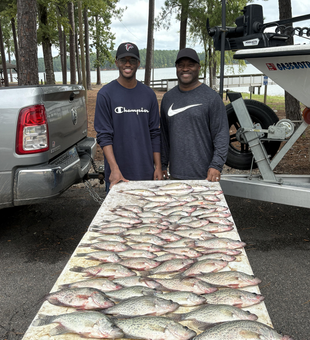 Huge crappies reeled in on a cloudy day in Thomson!