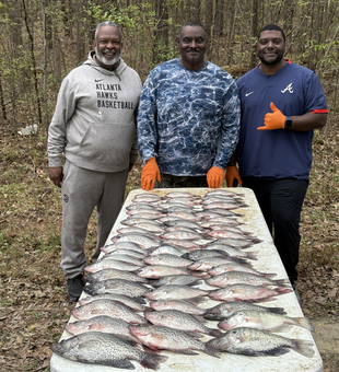 Caught a bountiful haul in the woods today.
