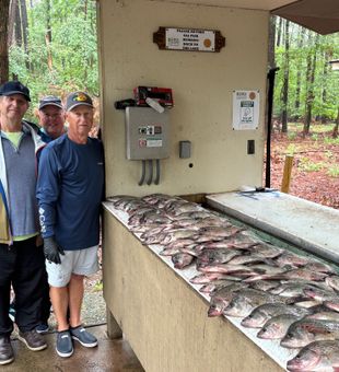 Crappie fishing beach style
