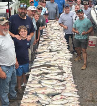 Cooperate striper trips Clarkshill 