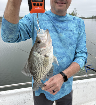 Got a nice crappie catch!