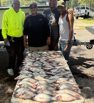 Crappie crappie