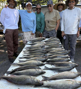Great day jigging and trolling for striped bass and wipers! Clear conditions made for an exciting fishing adventure.
