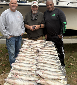 Blasted today with striped bass using jigging and trolling techniques!