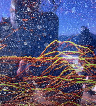 Underwater view at Clarks Hill Lake fishing waters.