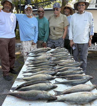 Blasted today with wiper and white catfish using jigging and trolling techniques!