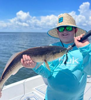 Redfish Run in Choctawhatchee Bay, FL