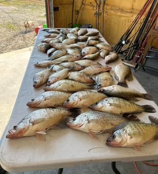 Crappie Fishing Fun in Oklahoma