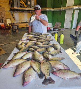 Crappie Season on Lake Eufaula