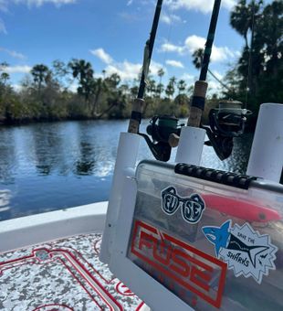 Explore Tampa's premier fishing
