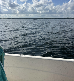 Partly cloudy skies set the stage for epic fishing adventures at Anclote River Park!