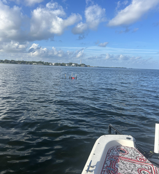 Partly cloudy skies set the stage for an epic fishing adventure in Holiday!