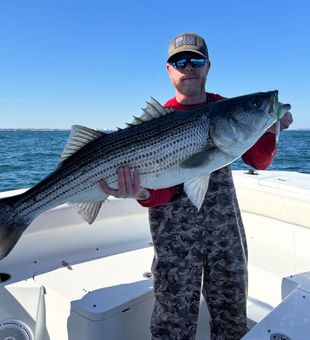 Beautiful Barnegat Light striped bass makes the day!