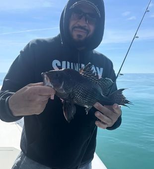 Book an inshore fishing trip in Barnegat Light, New Jersey, and experience great coastal fishing with beautiful waterfront scenery.