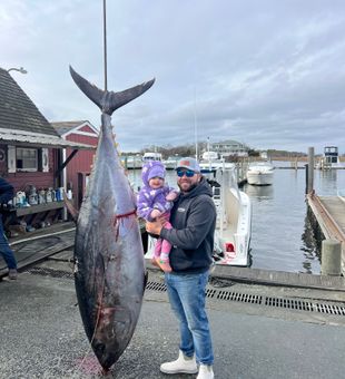 Monster bluefin tuna landed in Barnegat Light NJ!