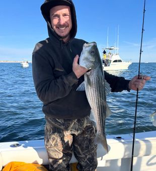 Barnegat Light: where the stripes run deep.