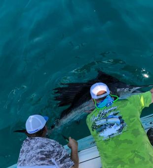 Sailfish Fishing in Murrells Inlet, SC