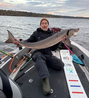 Monster lake sturgeon from Stillwater Minnesota waters!