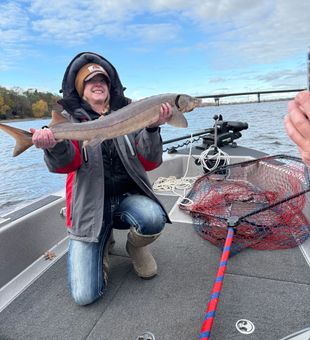 Beautiful Lake Sturgeon landed in Stillwater Minnesota!