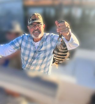 Sheepshead has been biting around