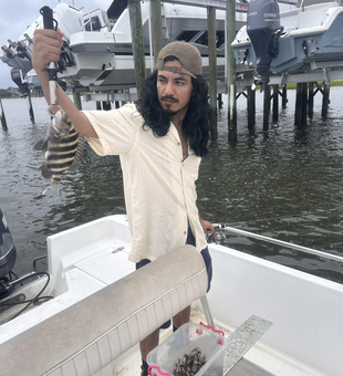 Reeling in a sheepshead while light tackle trolling in stormy Wilmington!