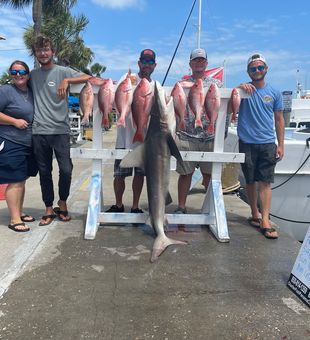 The sun is shining, and the fish are biting.