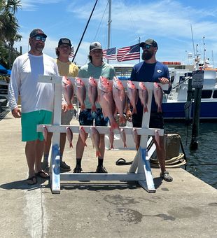 Catching Red Snappers and making stories worth sharing.