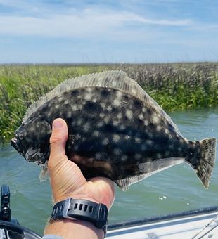 Guided Fishing Trip For Flounder