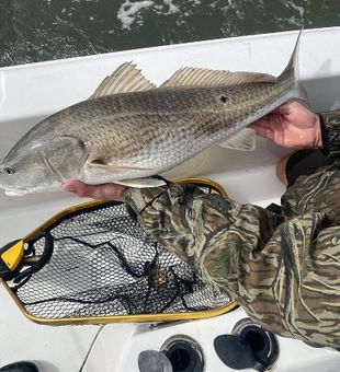 Best Redfish Fishing in North Carolina