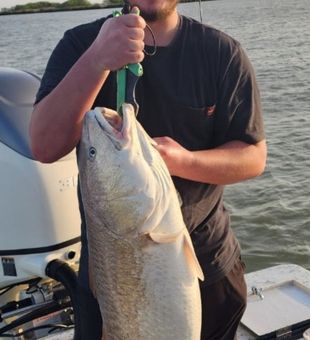 Redfish catch in South Padre Island Fishing