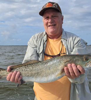Gator Trout 