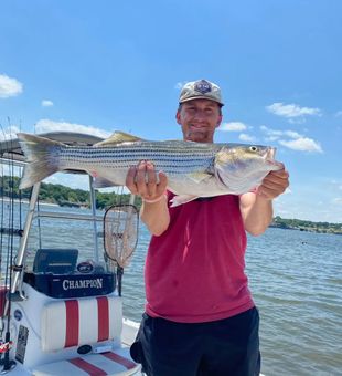 Impressive Striper catch!