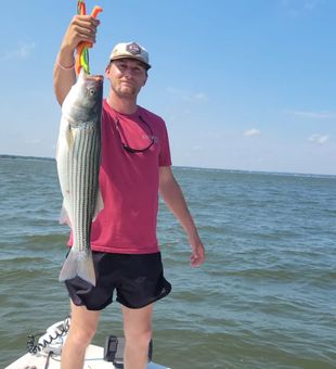 Solid Striper haul!