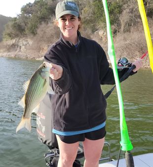 Reel Texas adventures.