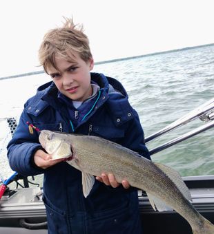 Hooked Up on Lake Erie Walleye