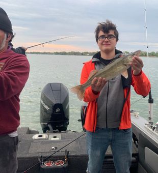 Trophy Walleye, Lake Erie Style