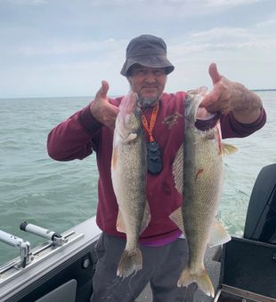 Big Walleye Bite on Lake Erie
