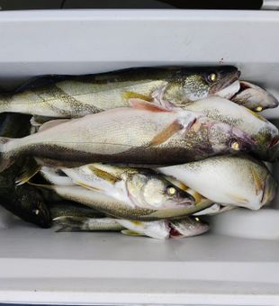 When the lake looks like glass, you know it’s going to be a good trip.