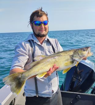 Massive walleye on a sunny Lake Erie day!
