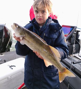 Early Morning Walleye Action