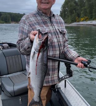 Washington salmon doing what they do best.