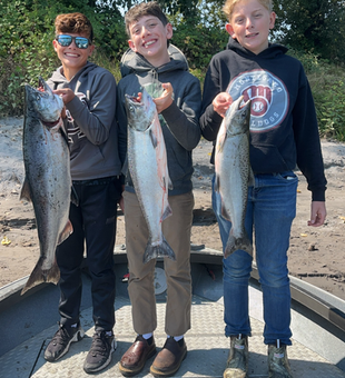 Big Coho Salmon and Rainbow Trout blasted today in Montesano!