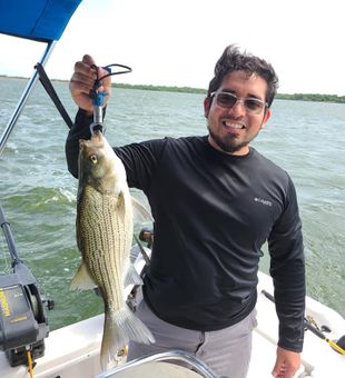 Thrilling White Bass Fishing Excursions