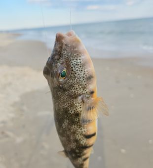 No need to be on top of the water to land a fish!