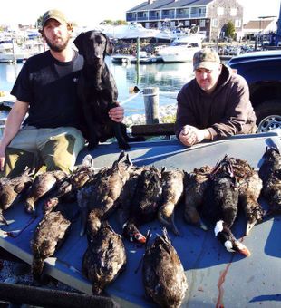 New Hampshire Waterfowl Hunting