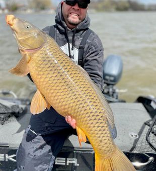 Exceptional Carp in WI
