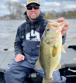 Bountiful Largemouth Bass