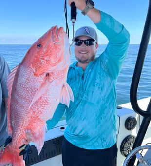 Red Snapper action in Gulf Shores AL!
